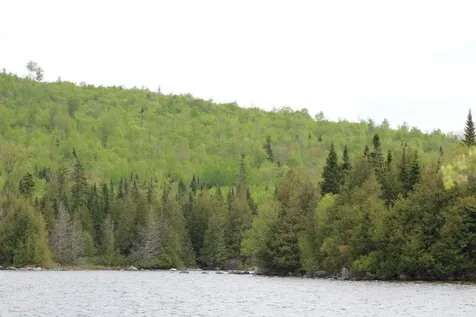 49 Pond Outlet Road Millsfield NH 03576