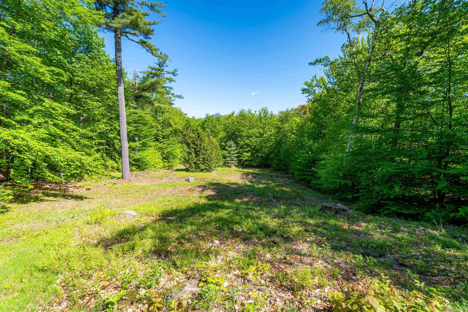 673 Page Hill Road Tamworth NH 03886