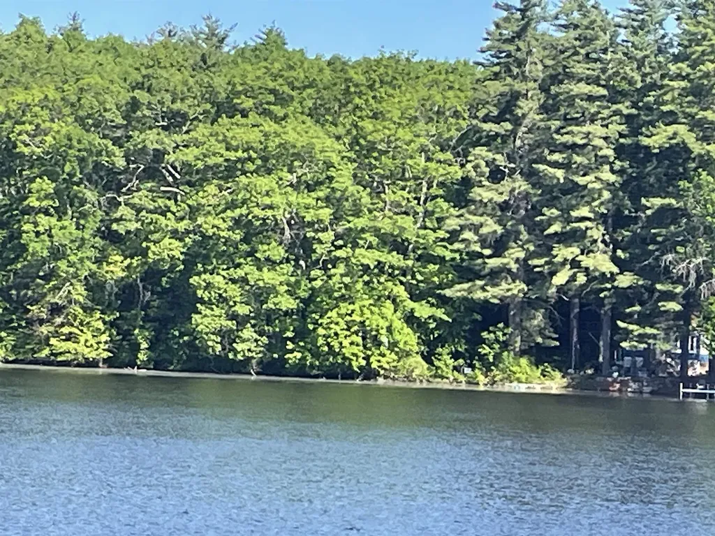 5 Allen Road Windham NH 03087