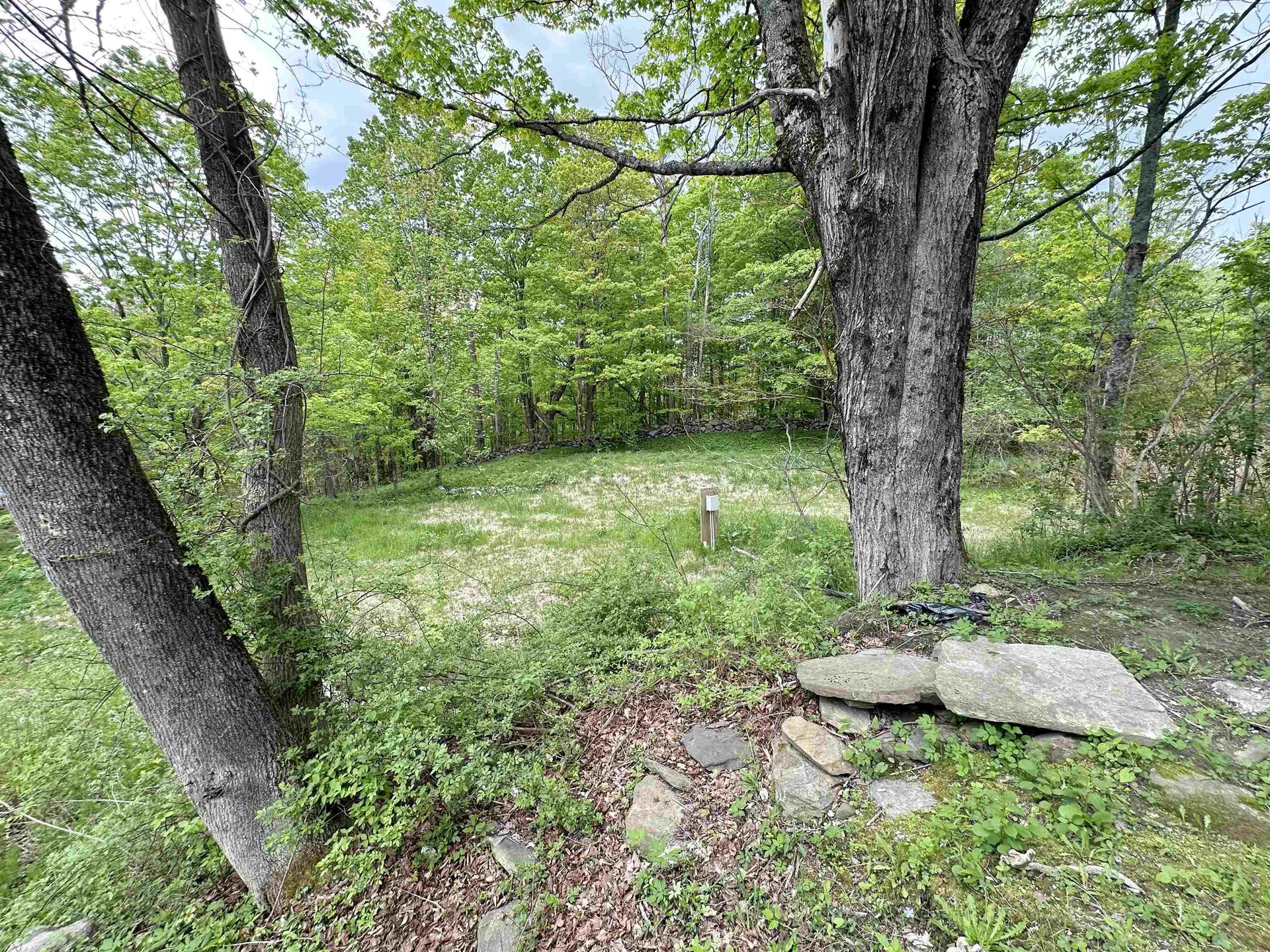 461 South Road Marlboro VT 05344
