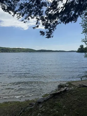 99 Spooner Point Castleton VT 05735