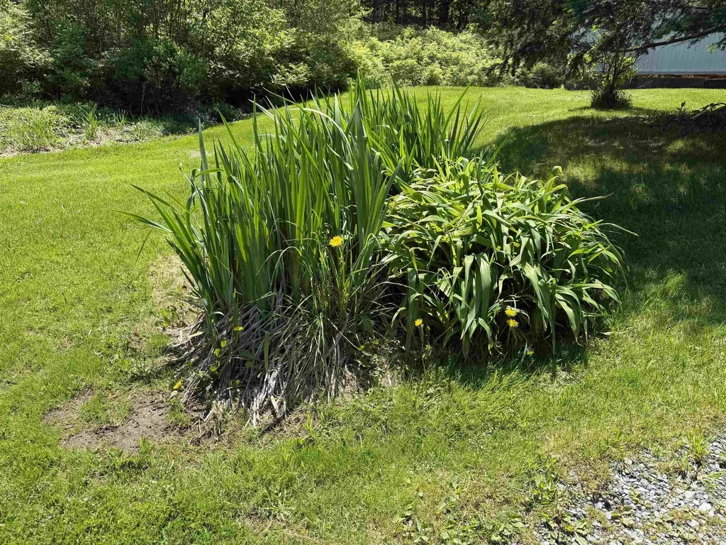 51 Barton Road Piermont NH 03779