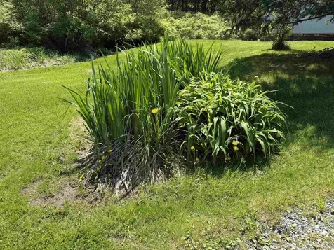 51 Barton Road Piermont NH 03779
