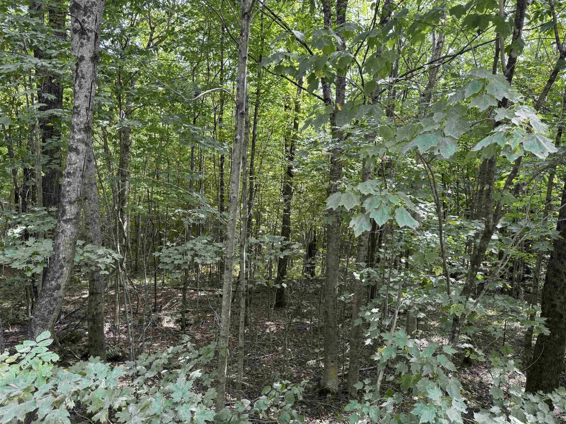 000 Granby Road Victory VT 05840