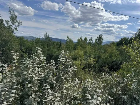 000 Granby Road Victory VT 05840