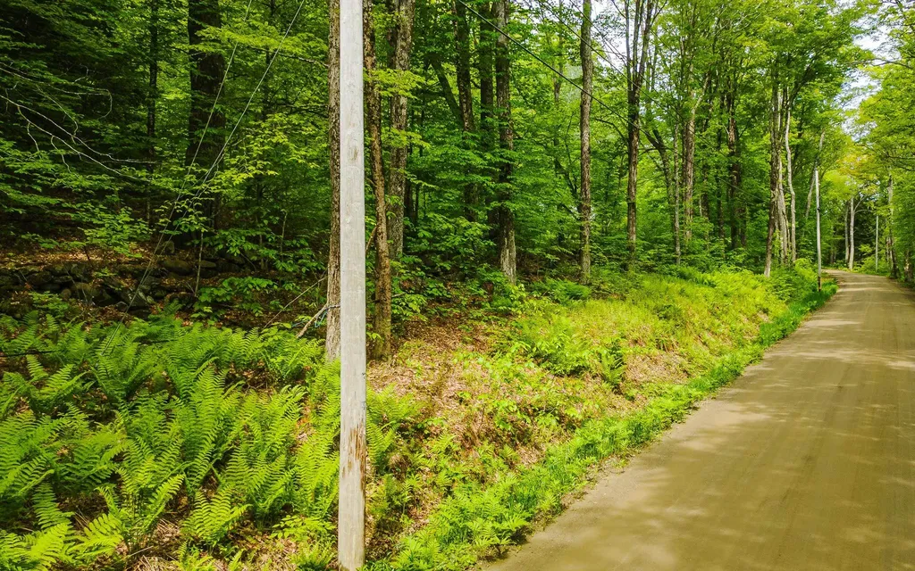 Lot 67 Camp Brook Road Alstead NH 03602