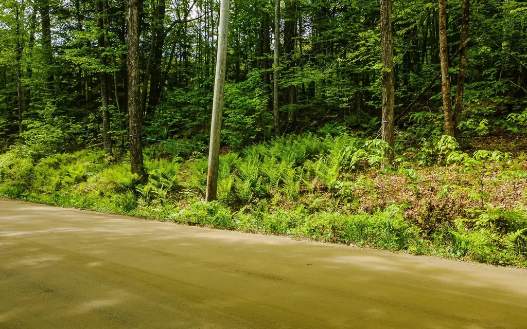Lot 67 Camp Brook Road Alstead NH 03602