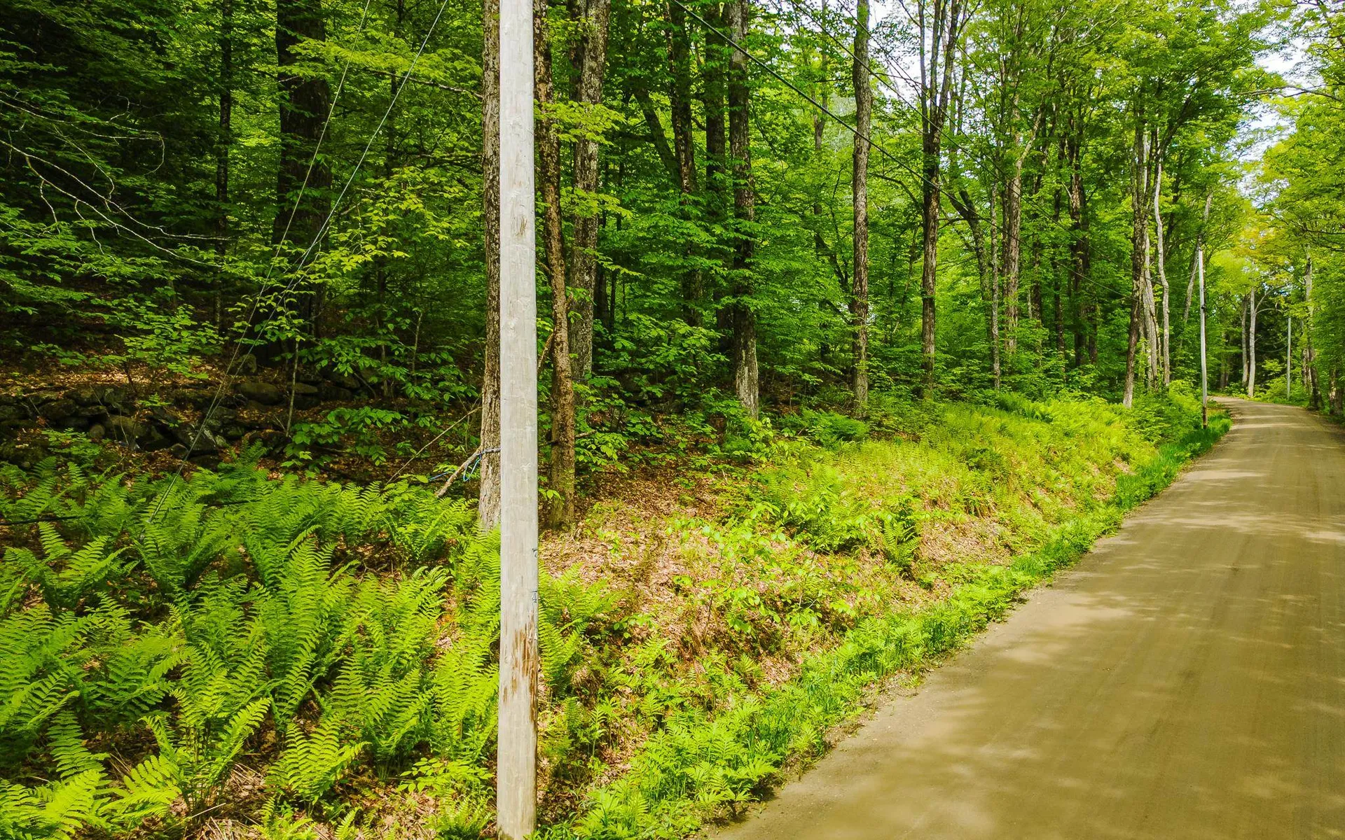 Lot 67 Camp Brook Road Alstead NH 03602