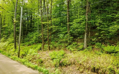 Lot 67 Camp Brook Road Alstead NH 03602