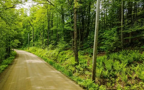 Lot 67 Camp Brook Road Alstead NH 03602
