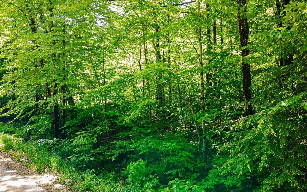00 Camp Brook Road Alstead NH 03602