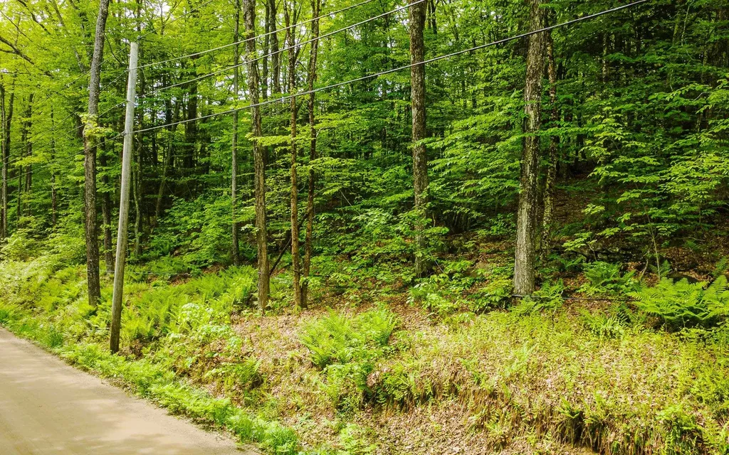 00 Camp Brook Road Alstead NH 03602
