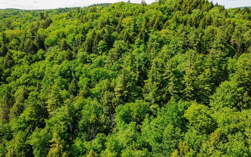00 Camp Brook Road Alstead NH 03602
