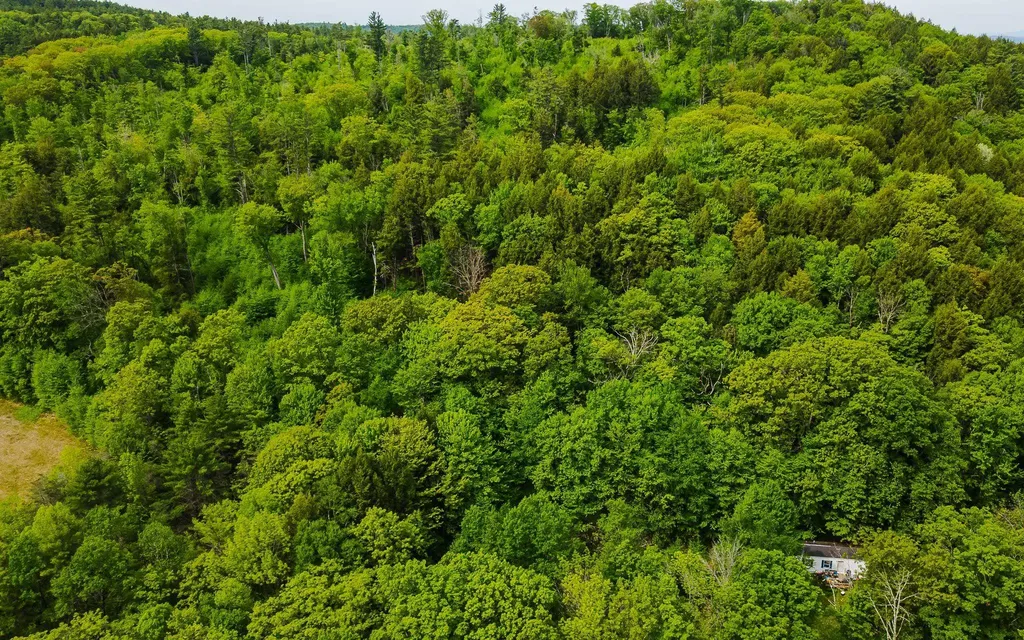 00 Camp Brook Road Alstead NH 03602