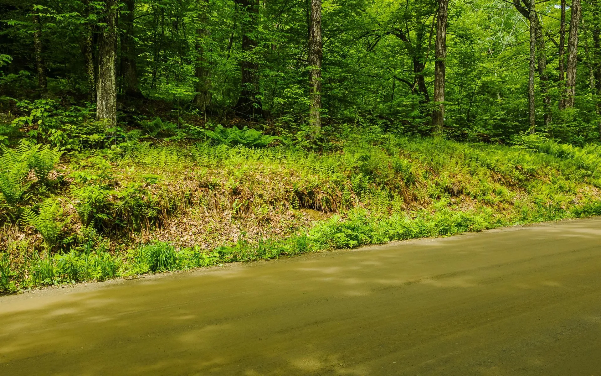 00 Camp Brook Road Alstead NH 03602