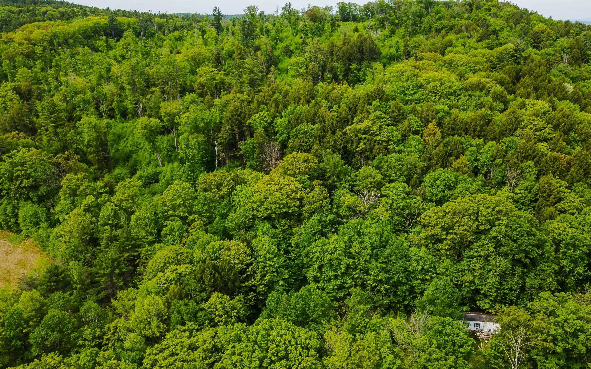 00 Camp Brook Road Alstead NH 03602