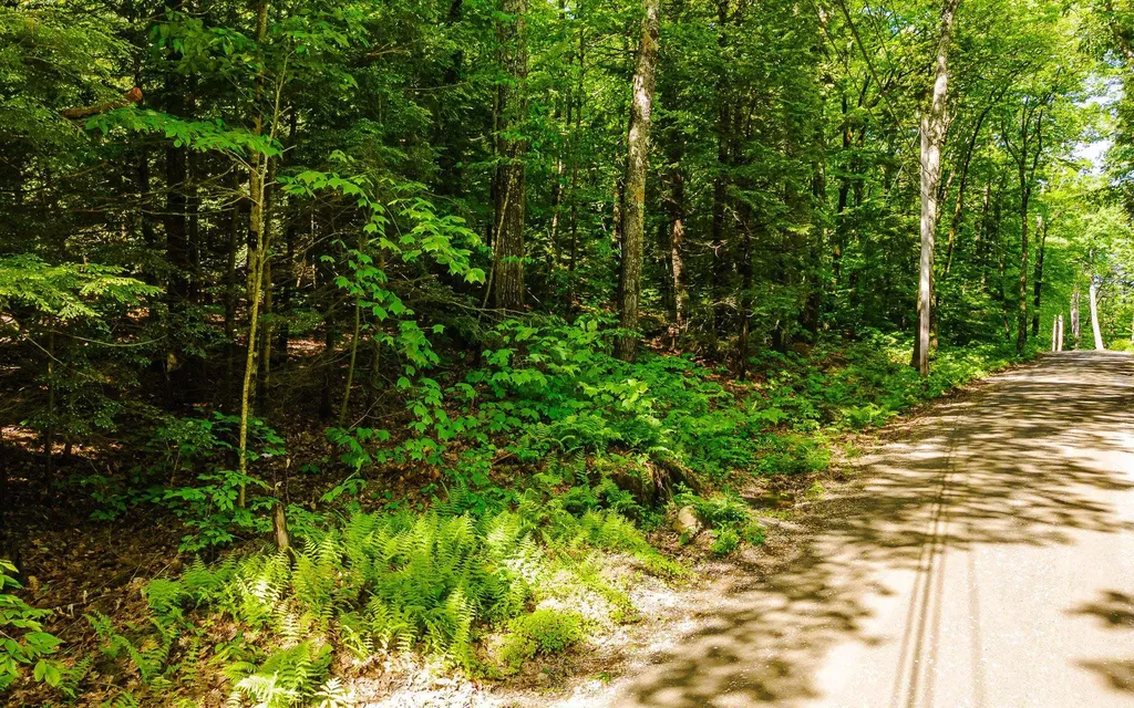 00 Camp Brook Road Alstead NH 03602
