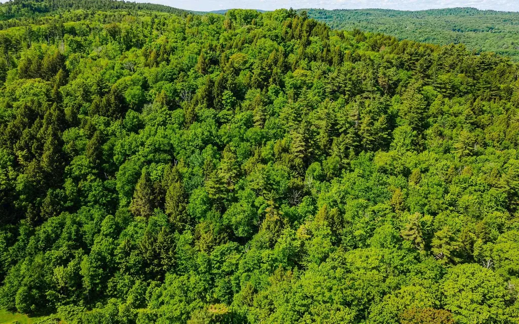 00 Camp Brook Road Alstead NH 03602
