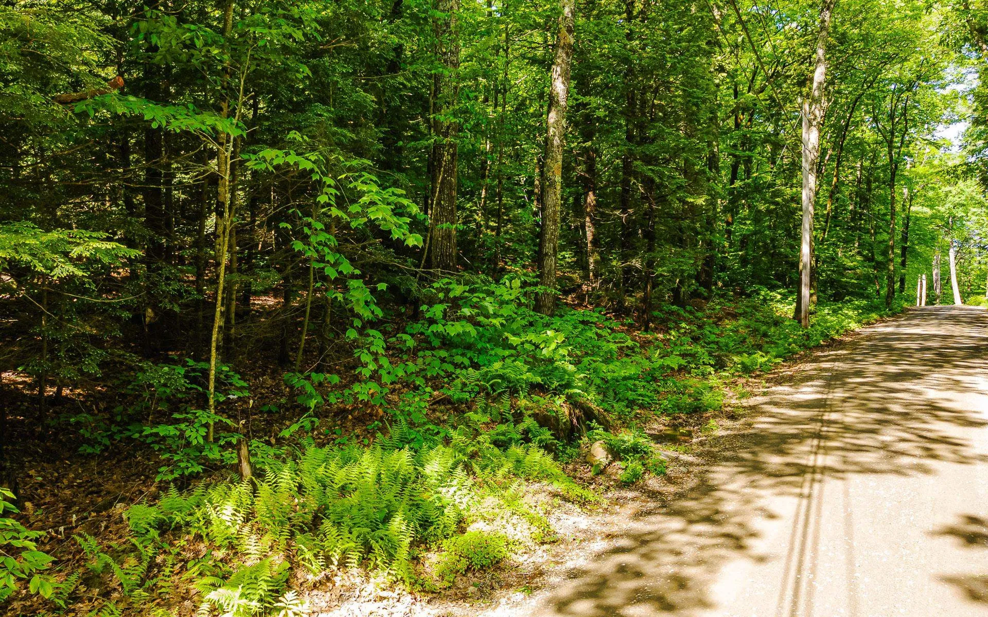 00 Camp Brook Road Alstead NH 03602