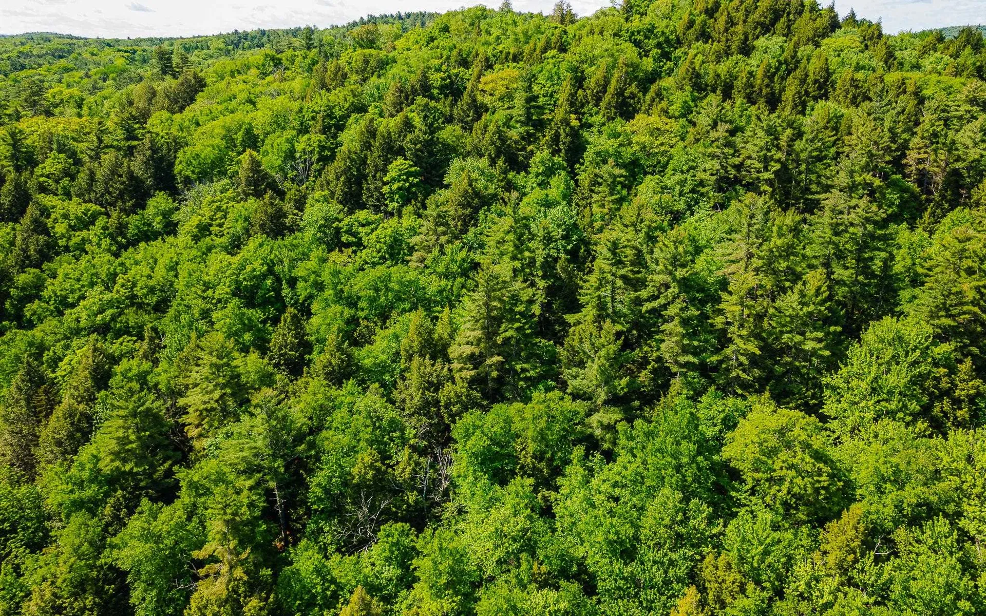 00 Camp Brook Road Alstead NH 03602