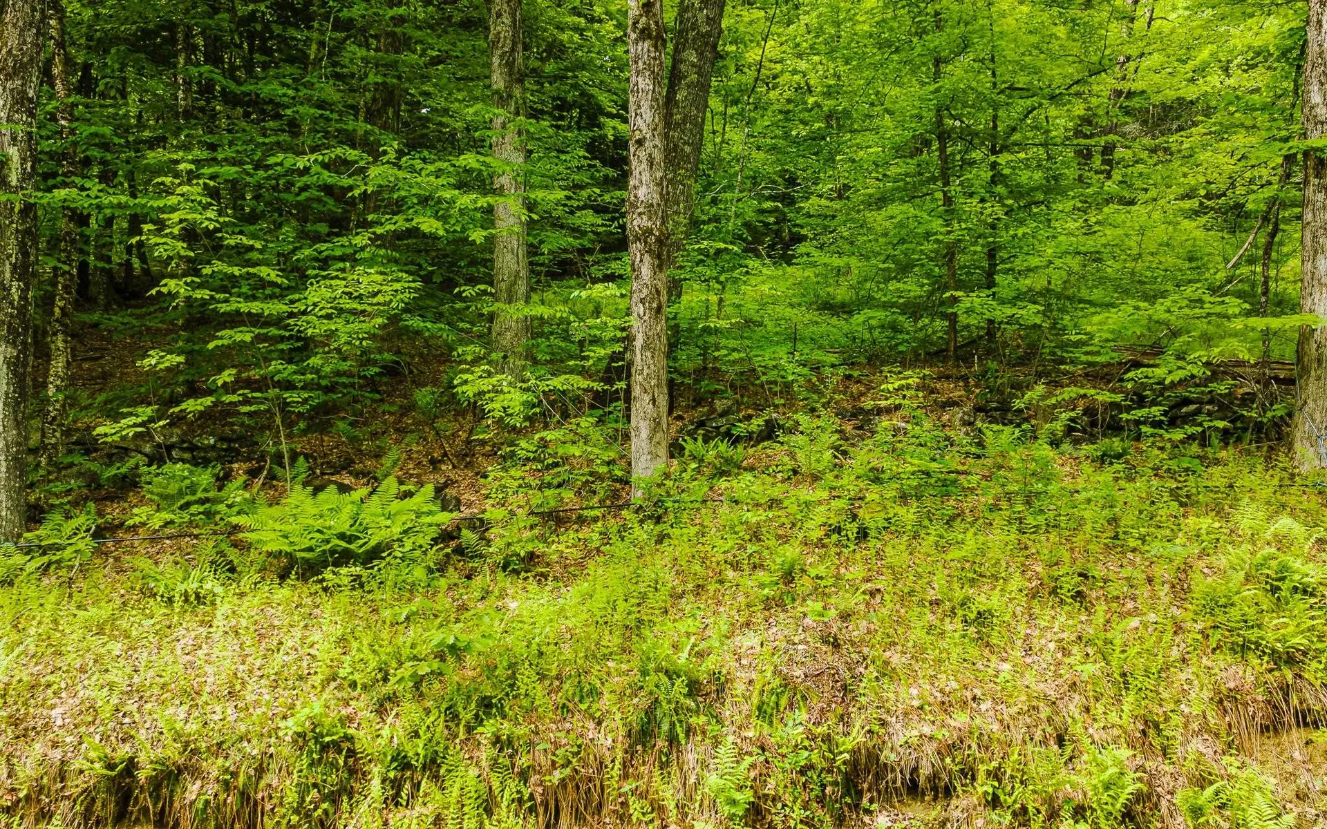 00 Camp Brook Road Alstead NH 03602