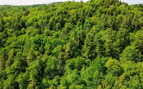 00 Camp Brook Road Alstead NH 03602