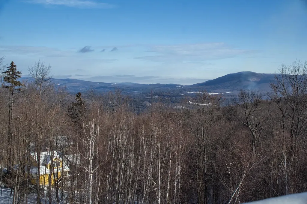 45 Benson Fuller Drive Winhall VT 05340