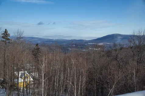45 Benson Fuller Drive Winhall VT 05340