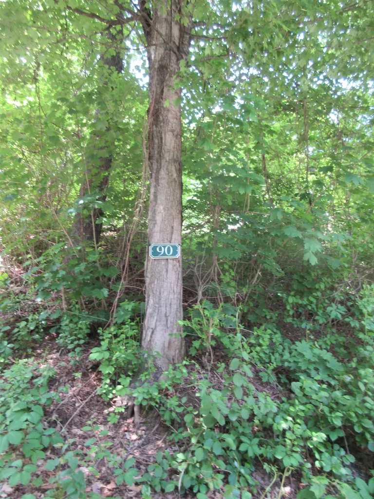 90 Wilsons Woods Road Brattleboro VT 05301