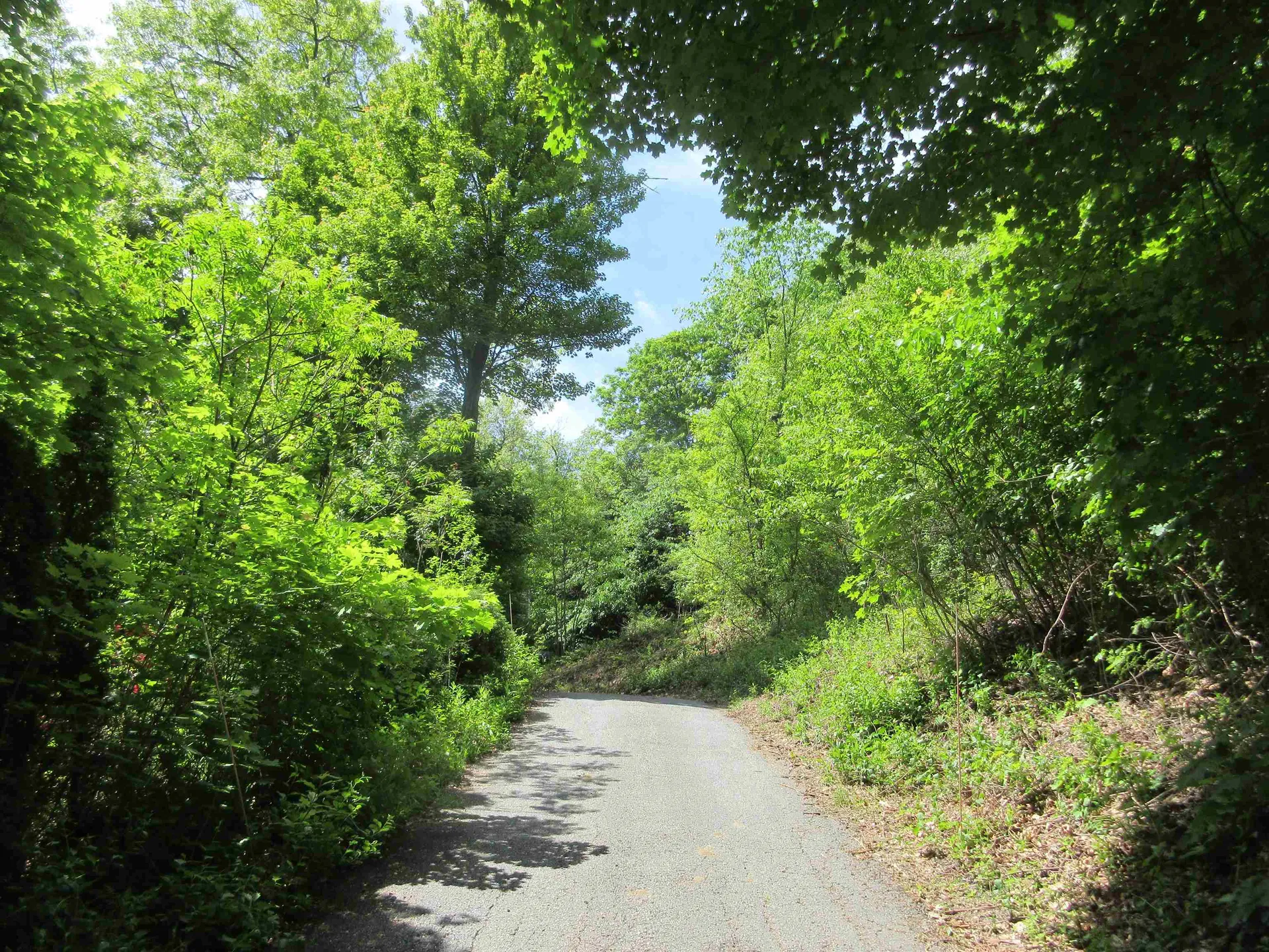 90 Wilsons Woods Road Brattleboro VT 05301