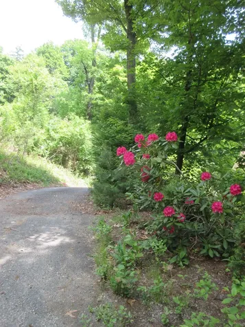 90 Wilsons Woods Road Brattleboro VT 05301