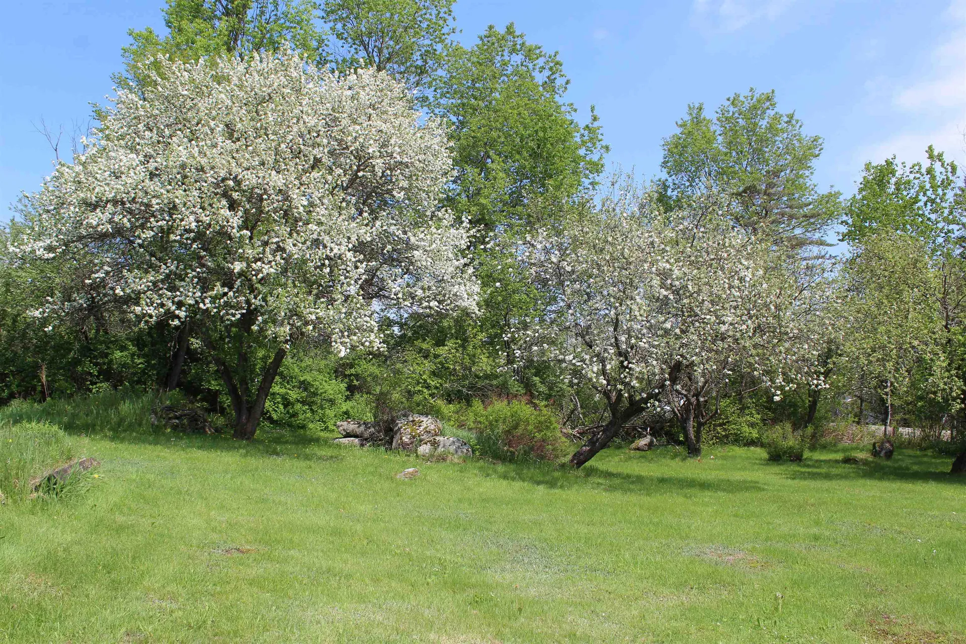 285 Portland Street Lancaster NH 03584