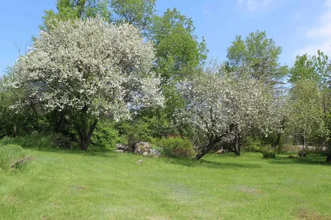 285 Portland Street Lancaster NH 03584
