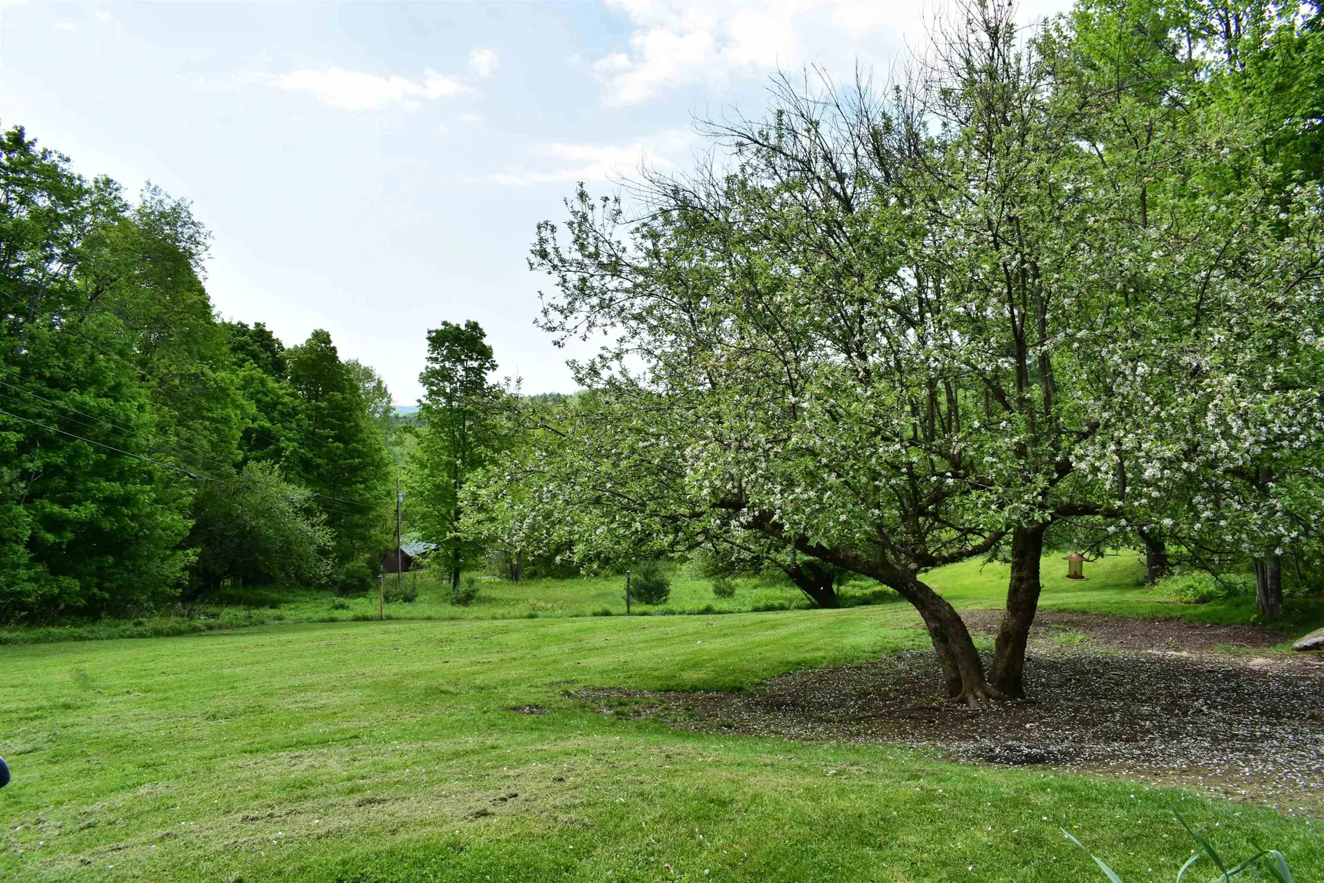 60 Hampshire Hill Road Worcester VT 05682