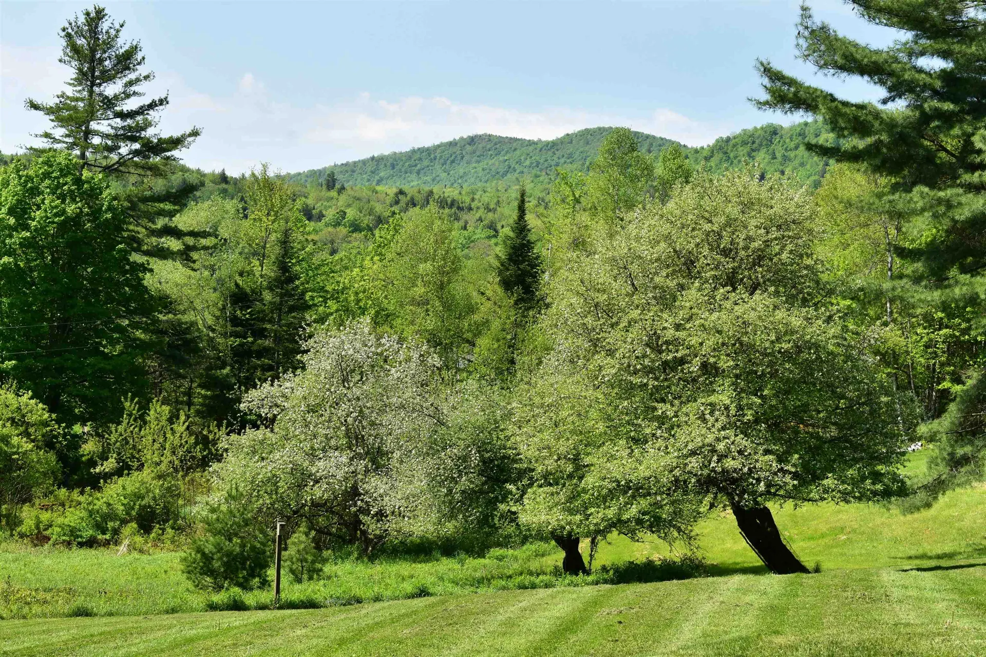 60 Hampshire Hill Road Worcester VT 05682