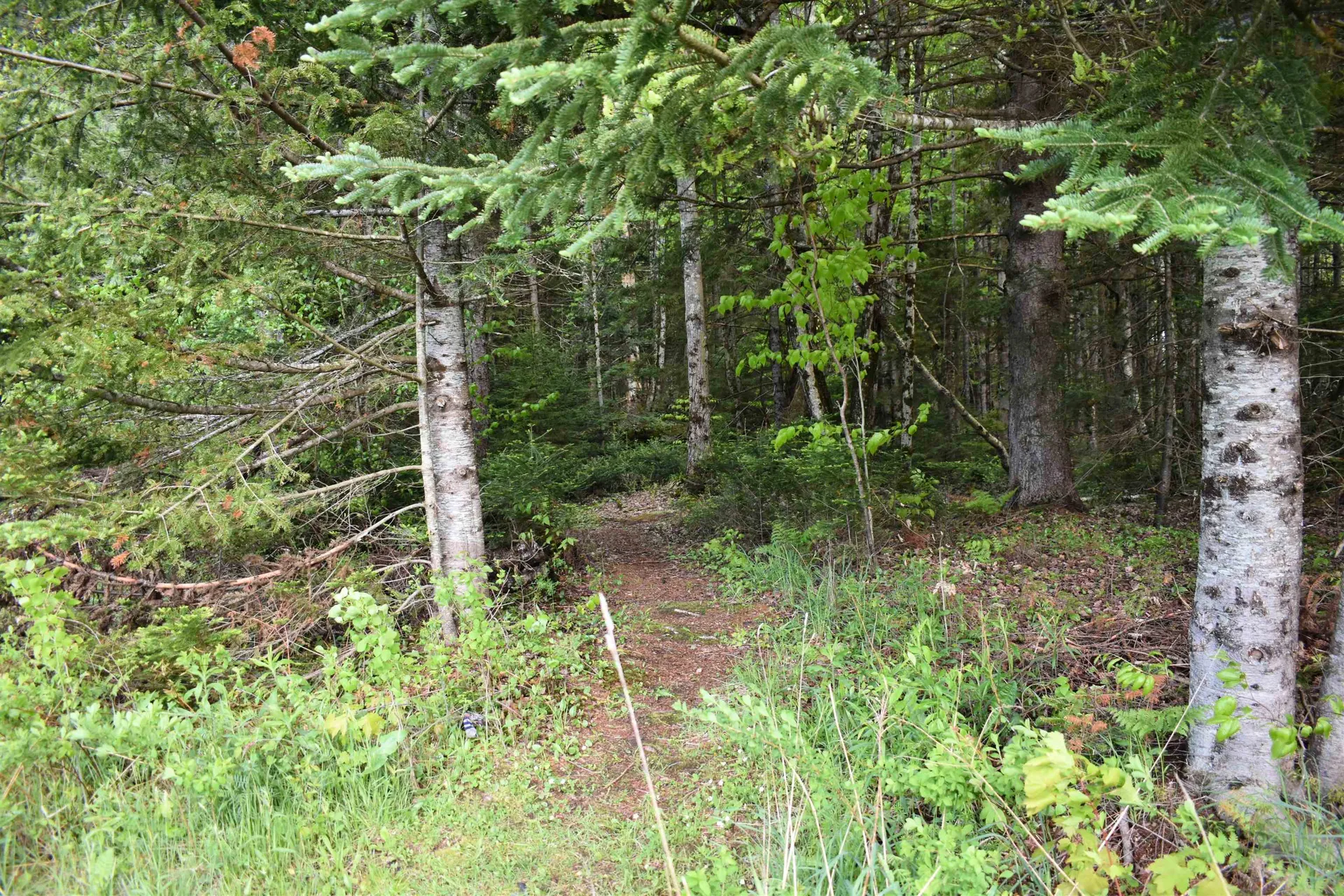 60 Hampshire Hill Road Worcester VT 05682