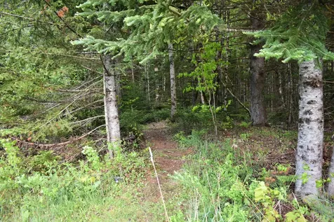 60 Hampshire Hill Road Worcester VT 05682