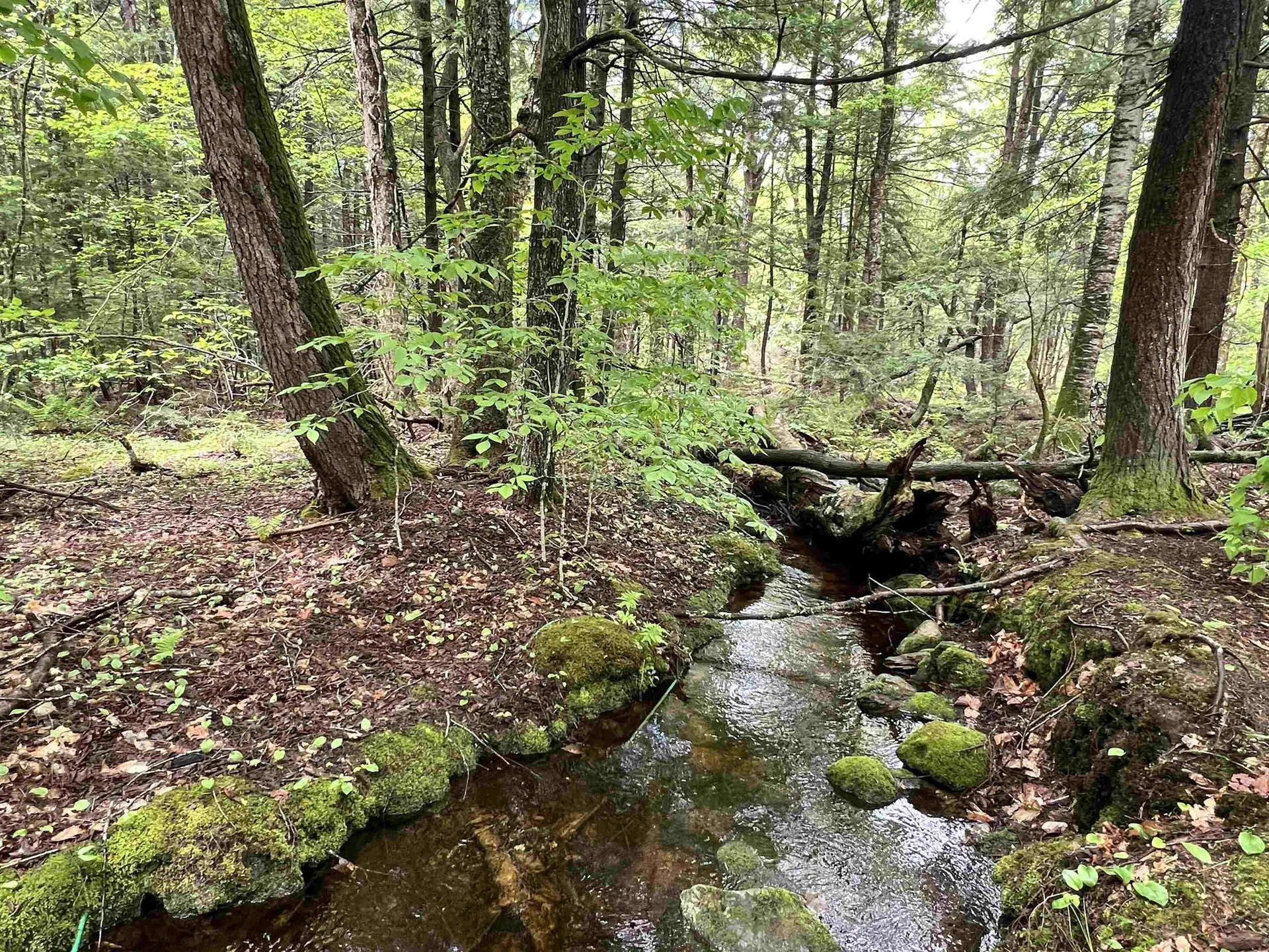 123 Cross Road Deering NH 03244