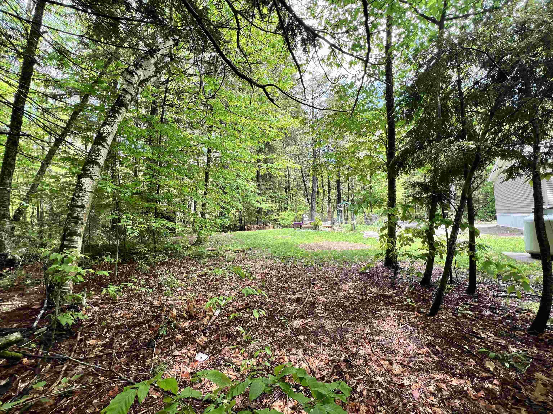 123 Cross Road Deering NH 03244