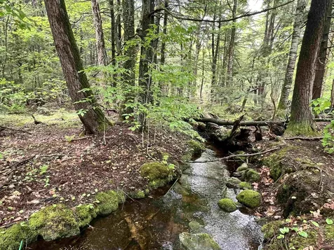 123 Cross Road Deering NH 03244