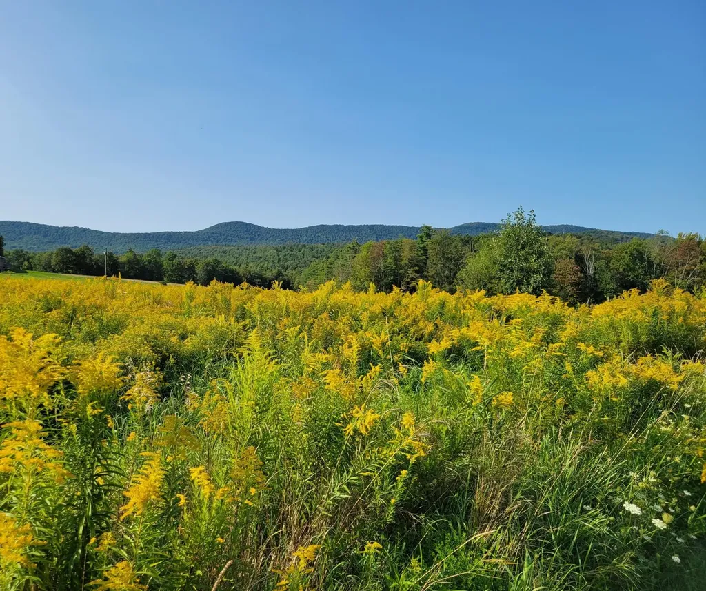133 Baltimore Road Springfield VT 05150