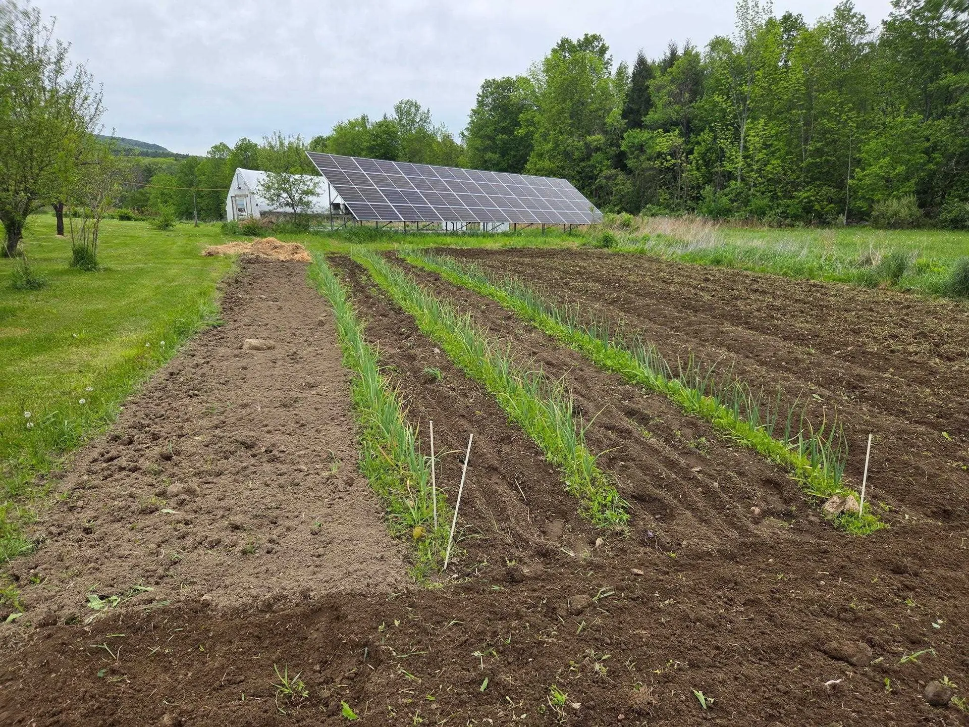 133 Baltimore Road Springfield VT 05150