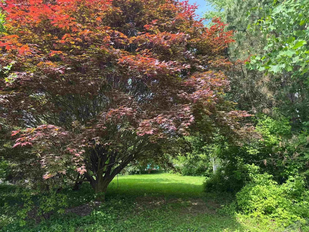 141 West Canal Street Winooski VT 05404