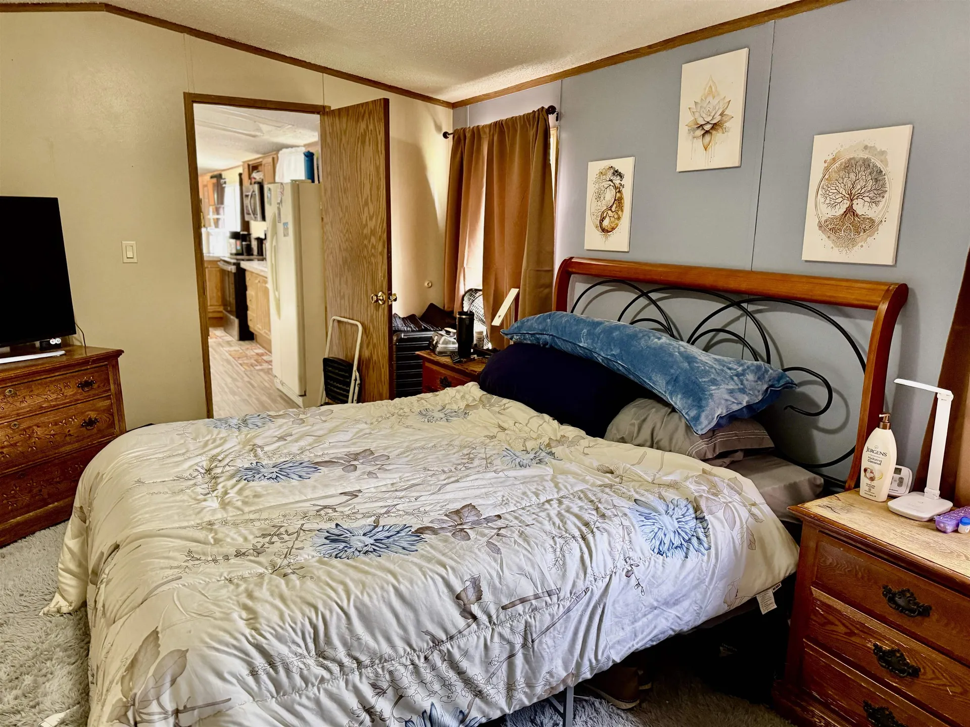 68 Blueberry Drive Wolcott VT 05680