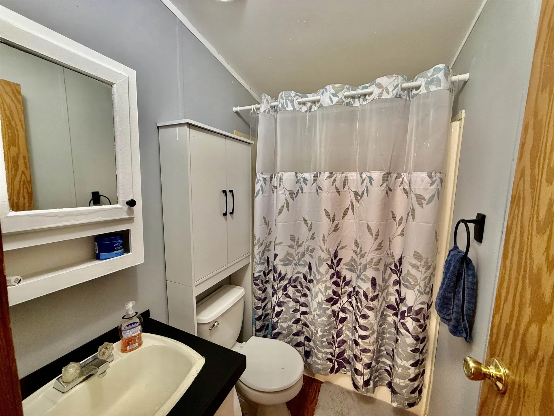 68 Blueberry Drive Wolcott VT 05680