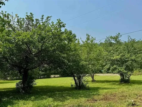 68 Blueberry Drive Wolcott VT 05680