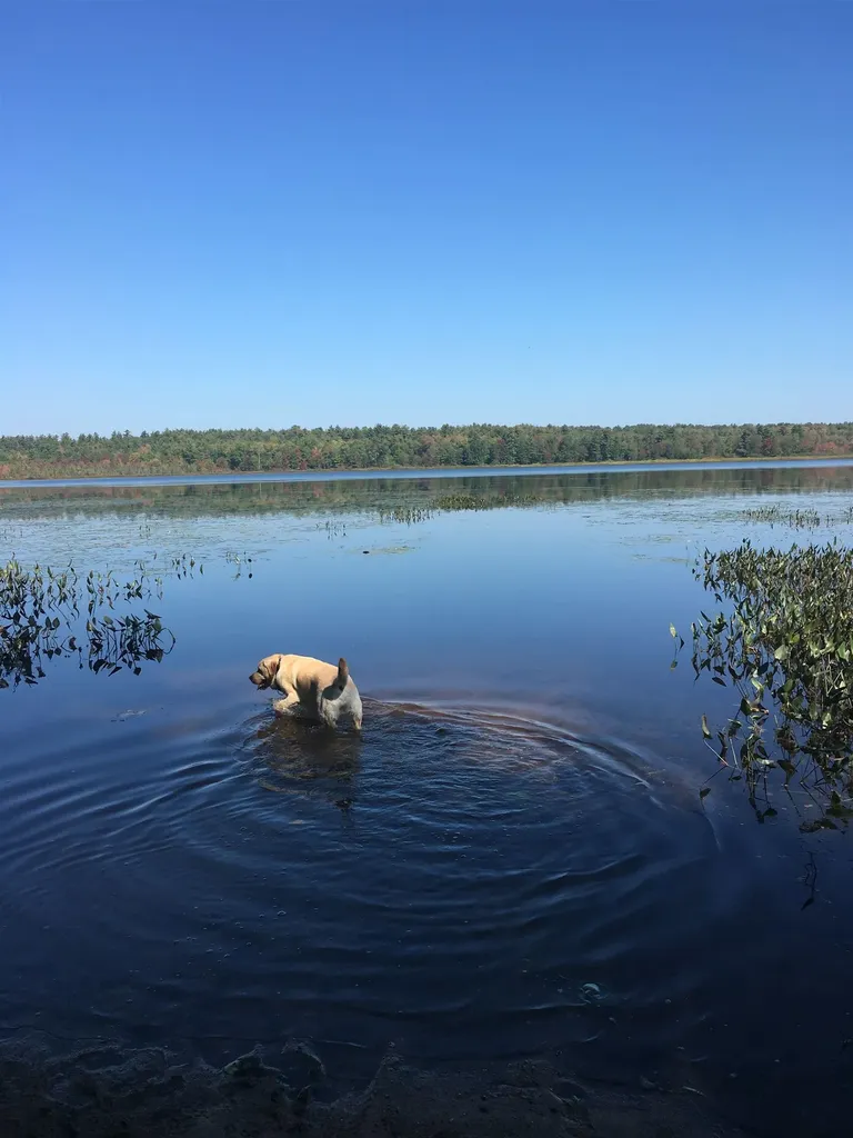 Map 10 Lot 32,33,34 Suncook Valley Road Barnstead NH 03218