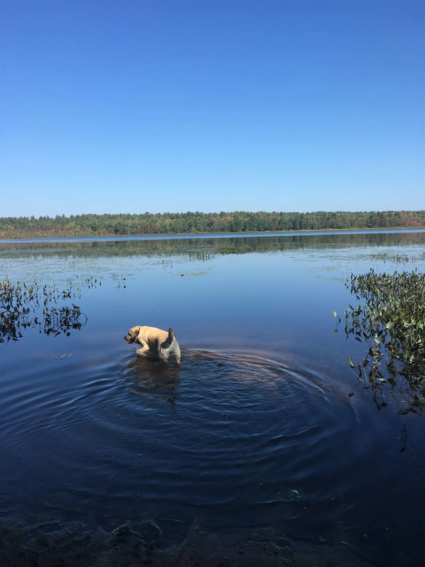 Map 10 Lot 32,33,34 Suncook Valley Road Barnstead NH 03218