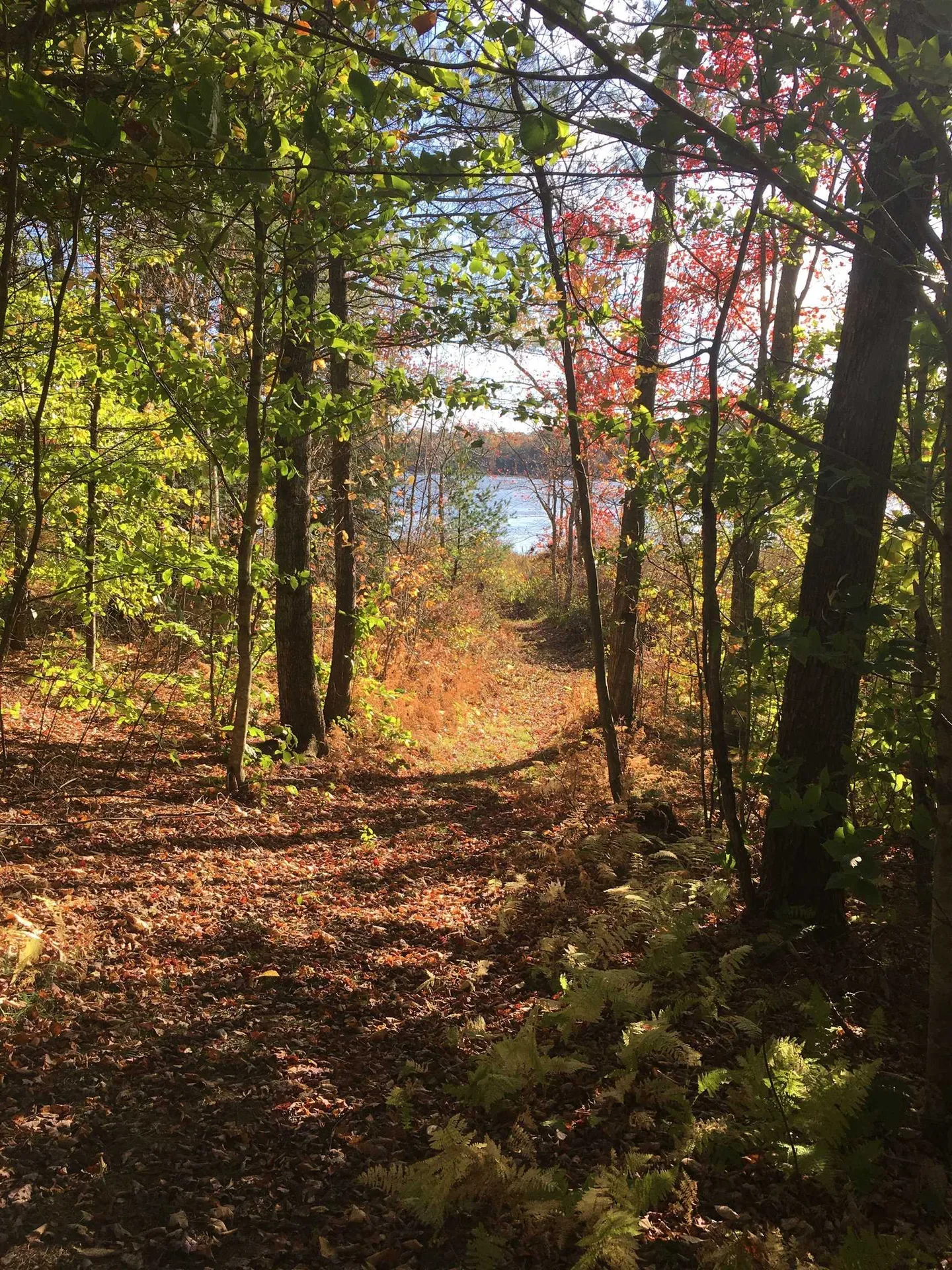 Map 10 Lot 32,33,34 Suncook Valley Road Barnstead NH 03218