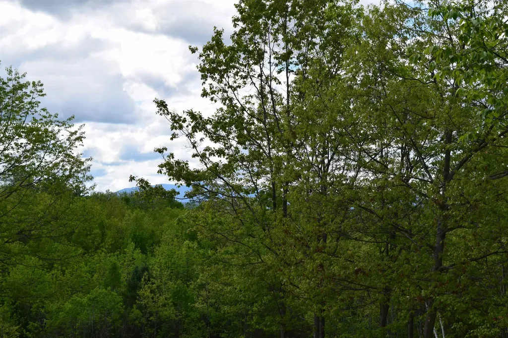151 Moulton Hill Road Lyman NH 03585